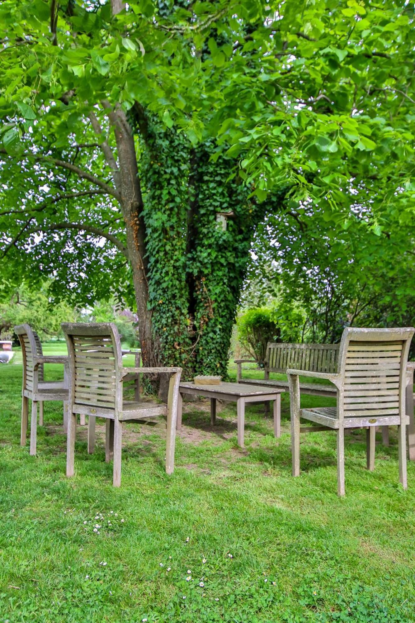 Domaine D'Aromm - Chambres D'Hotes & Gites - Piscine, Etangs & Animaux - Au Calme Ouches Esterno foto