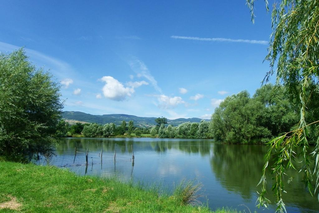 Domaine D'Aromm - Chambres D'Hotes & Gites - Piscine, Etangs & Animaux - Au Calme Ouches Esterno foto