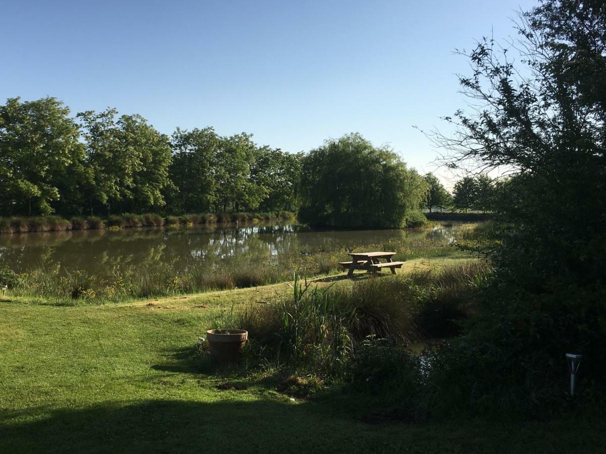 Domaine D'Aromm - Chambres D'Hotes & Gites - Piscine, Etangs & Animaux - Au Calme Ouches Esterno foto